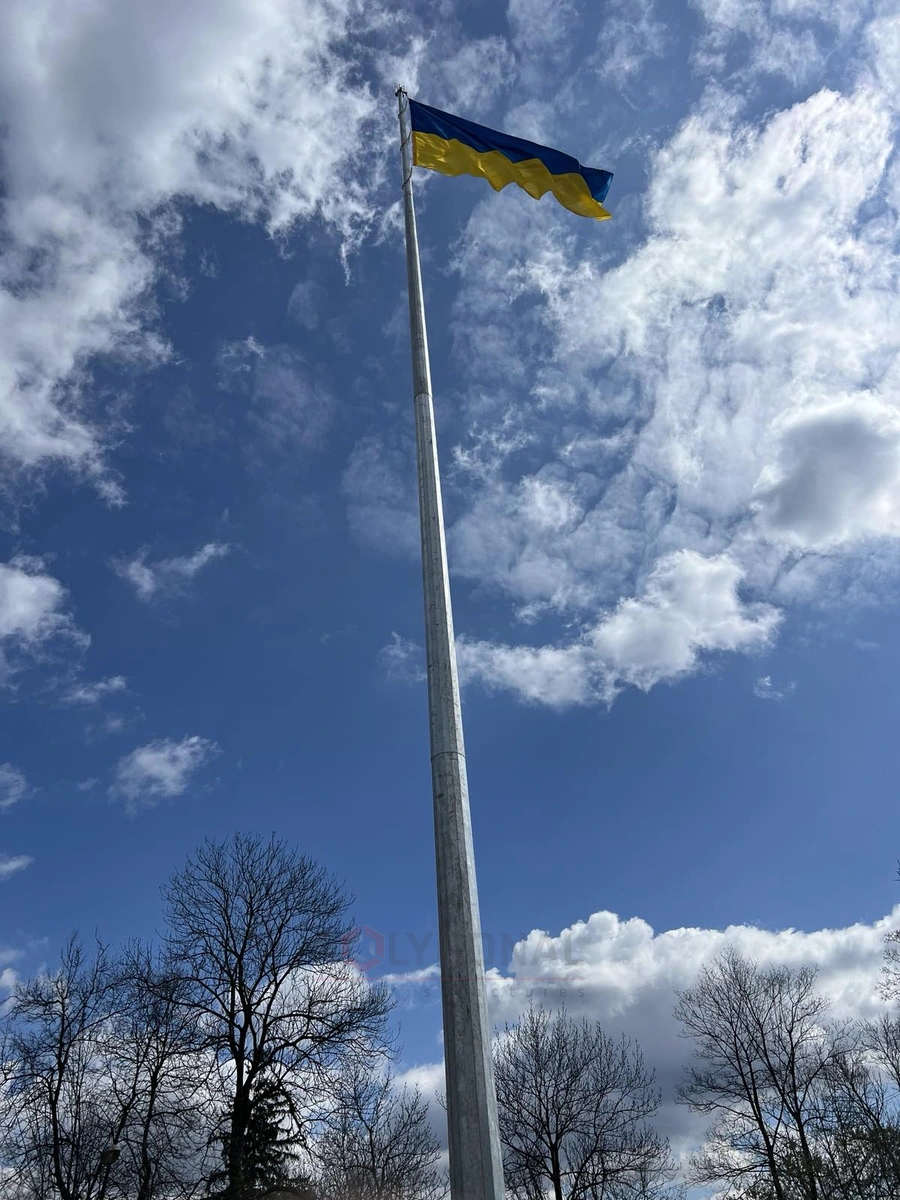 A flagpole with a flag in Dolyna